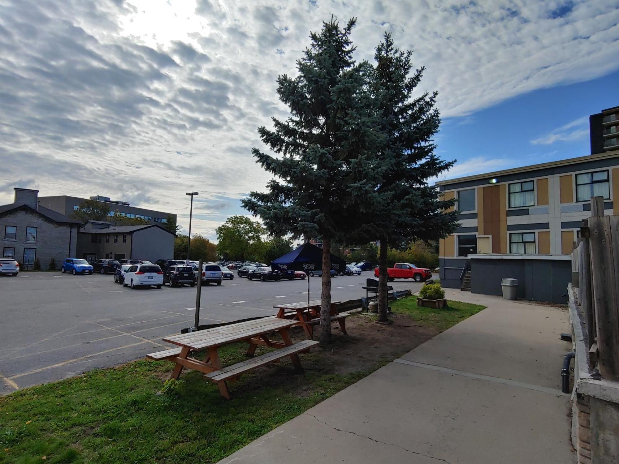 Econo Lodge City Centre Kingston Exterior foto