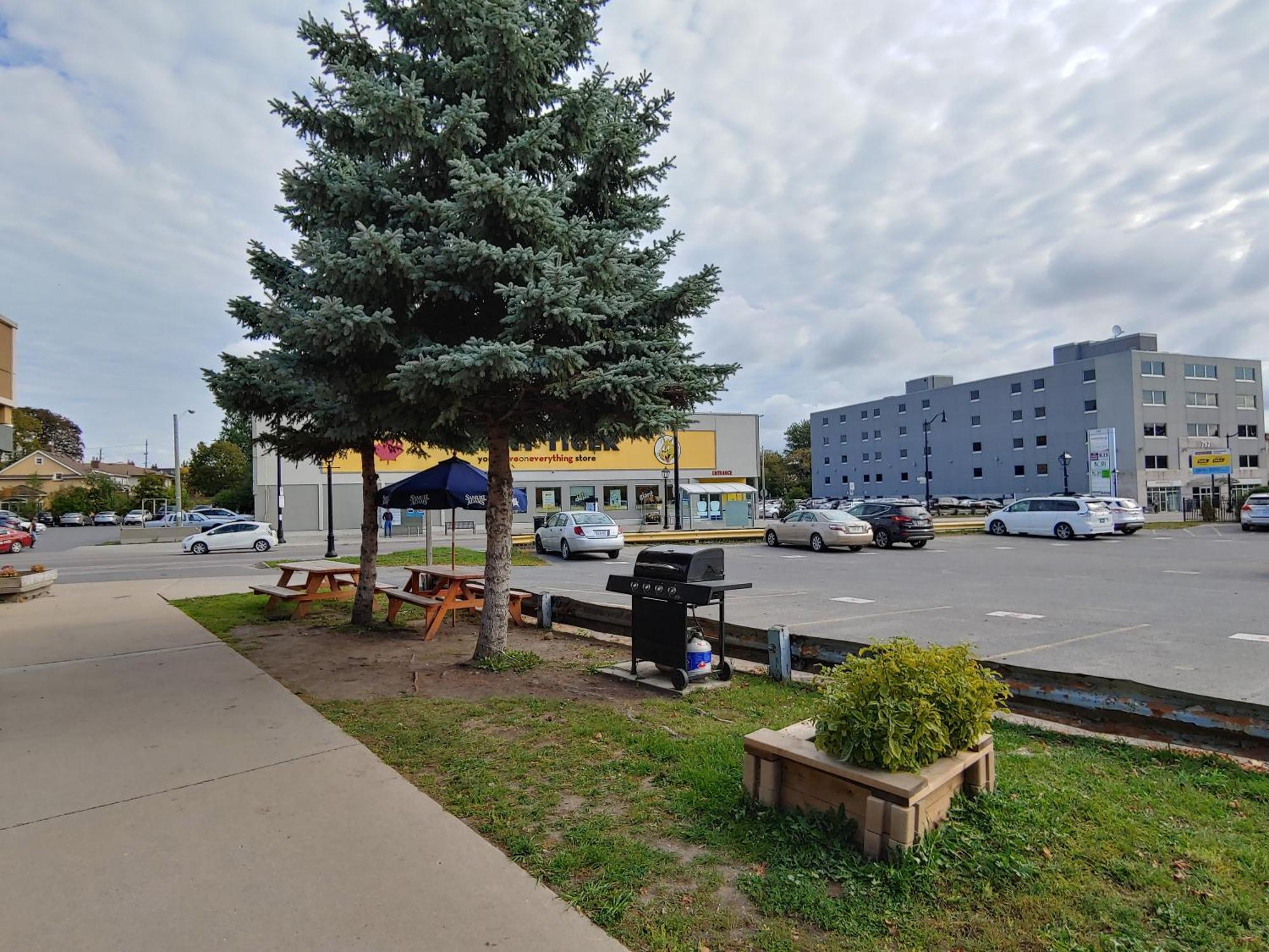 Econo Lodge City Centre Kingston Exterior foto